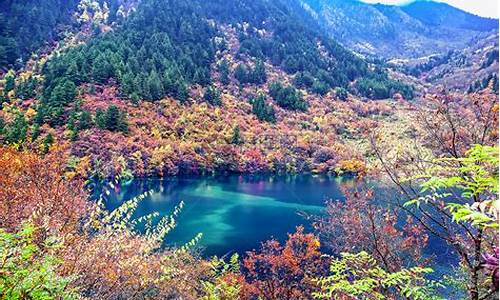 九寨沟风景区图片可保存_九寨沟风景区的照片