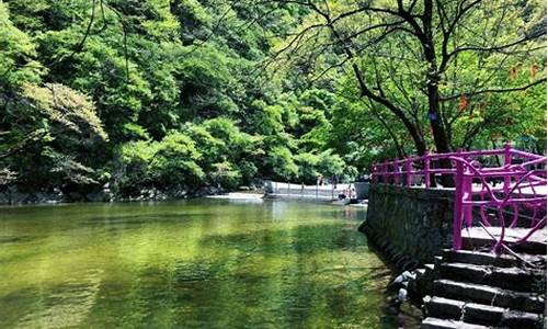 太平森林公园天气_太平森林公园天气预报