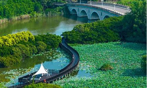 广州南沙湿地公园好玩吗_广州南沙湿地公园好玩吗多少钱