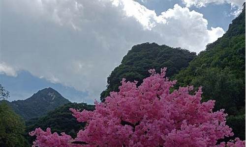 太平森林公园一日游攻略_太平森林公园一日游攻略图