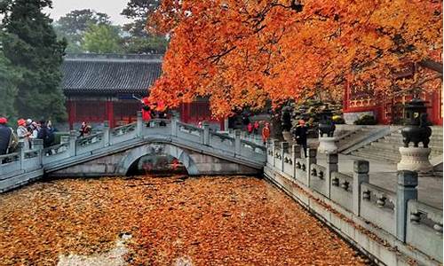 北京香山公园旅游攻略一日游_北京香山公园旅游攻略一日游路线